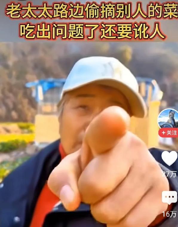 果然又是坏人变老了！近日，一菜农抖音曝料，自己种的菜被一老人偷摘，回去炒给家人吃