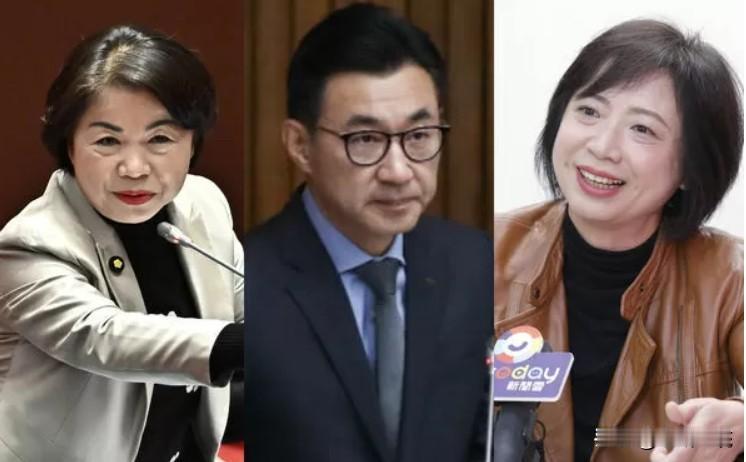 台中市长选战最新民调：江启臣胜何欣纯、杨琼璎输何欣纯根据吴子嘉今晚（26日）