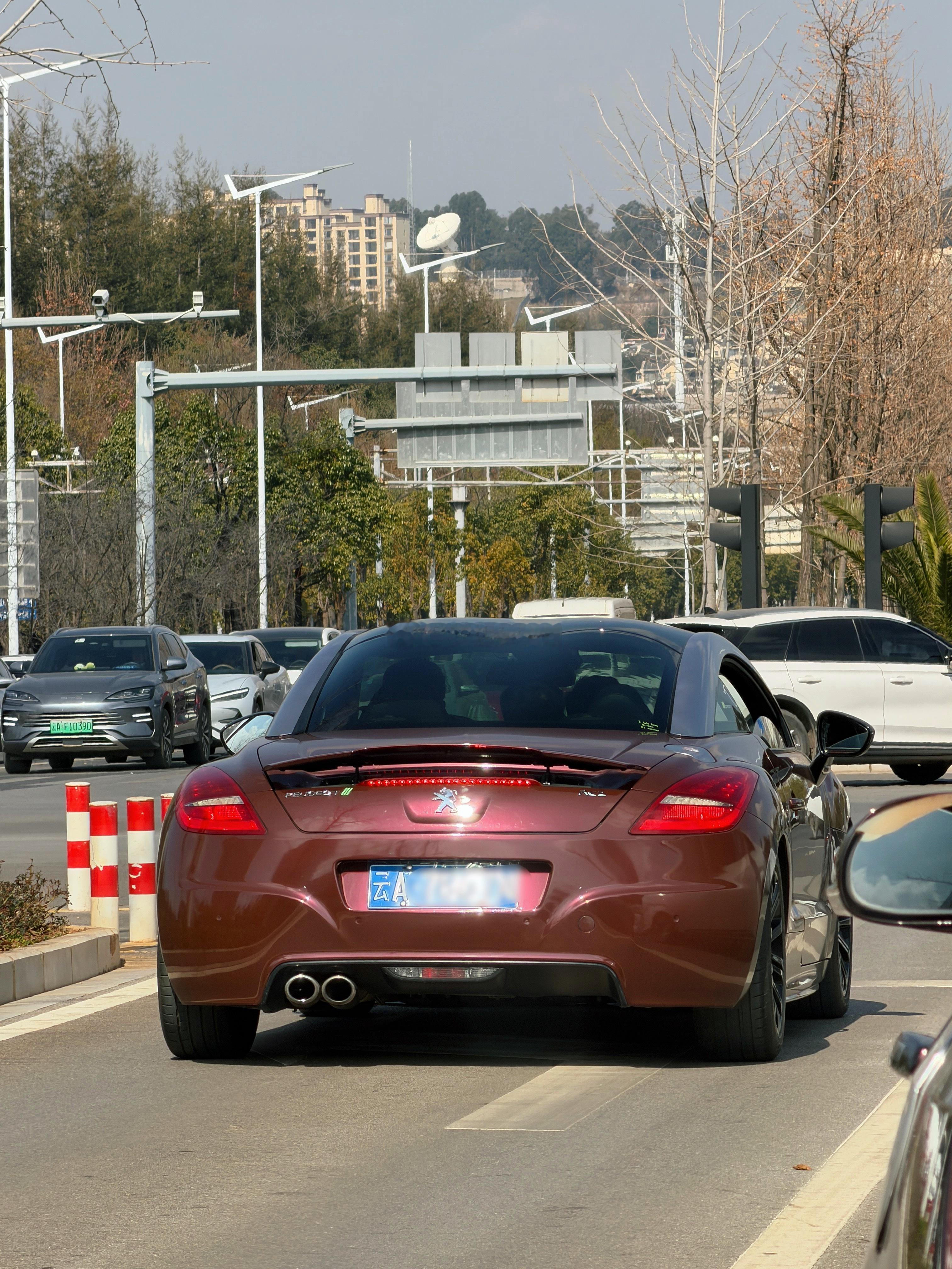 法式好设计，标志RCZ🦁梦想家ALI