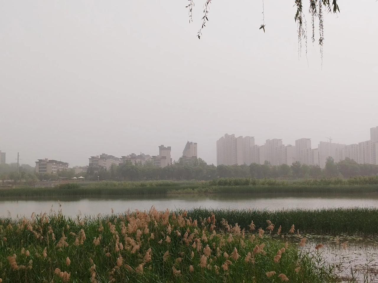 西安这沙尘天气太讨厌了，到处都是灰蒙蒙的，河对面的楼都看不清了，公园的椅子上一层