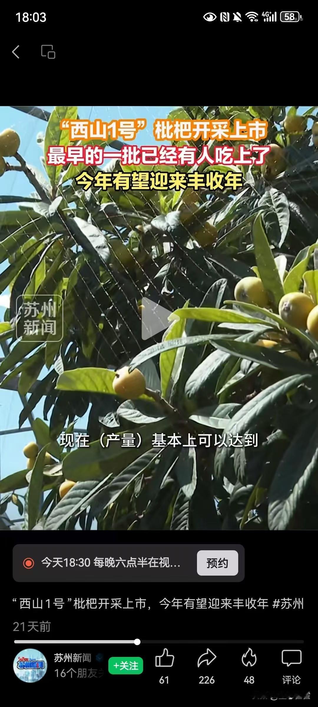 苏州的官媒塌房了？宣传枇杷时公然宣传捕鸟网？最近，江苏苏州市的主力官媒“苏州新闻
