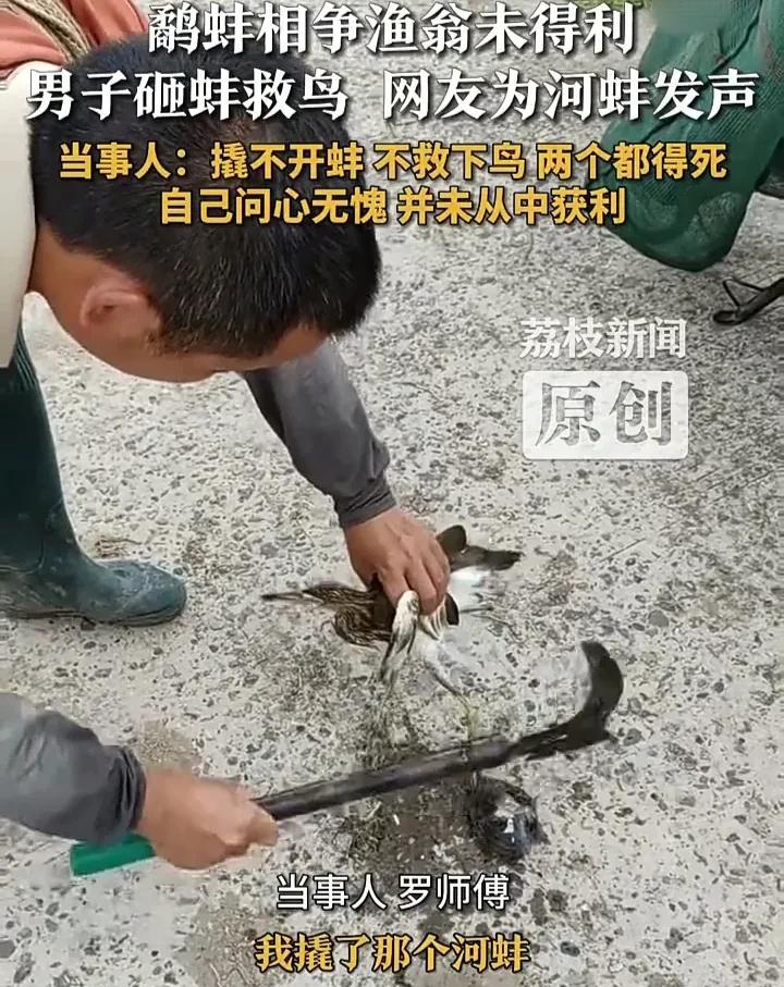 这年头真是好人难做！四川广安一位渔夫以捕捞鳝鱼为生，某天在路上看见现实版的“鹬蚌