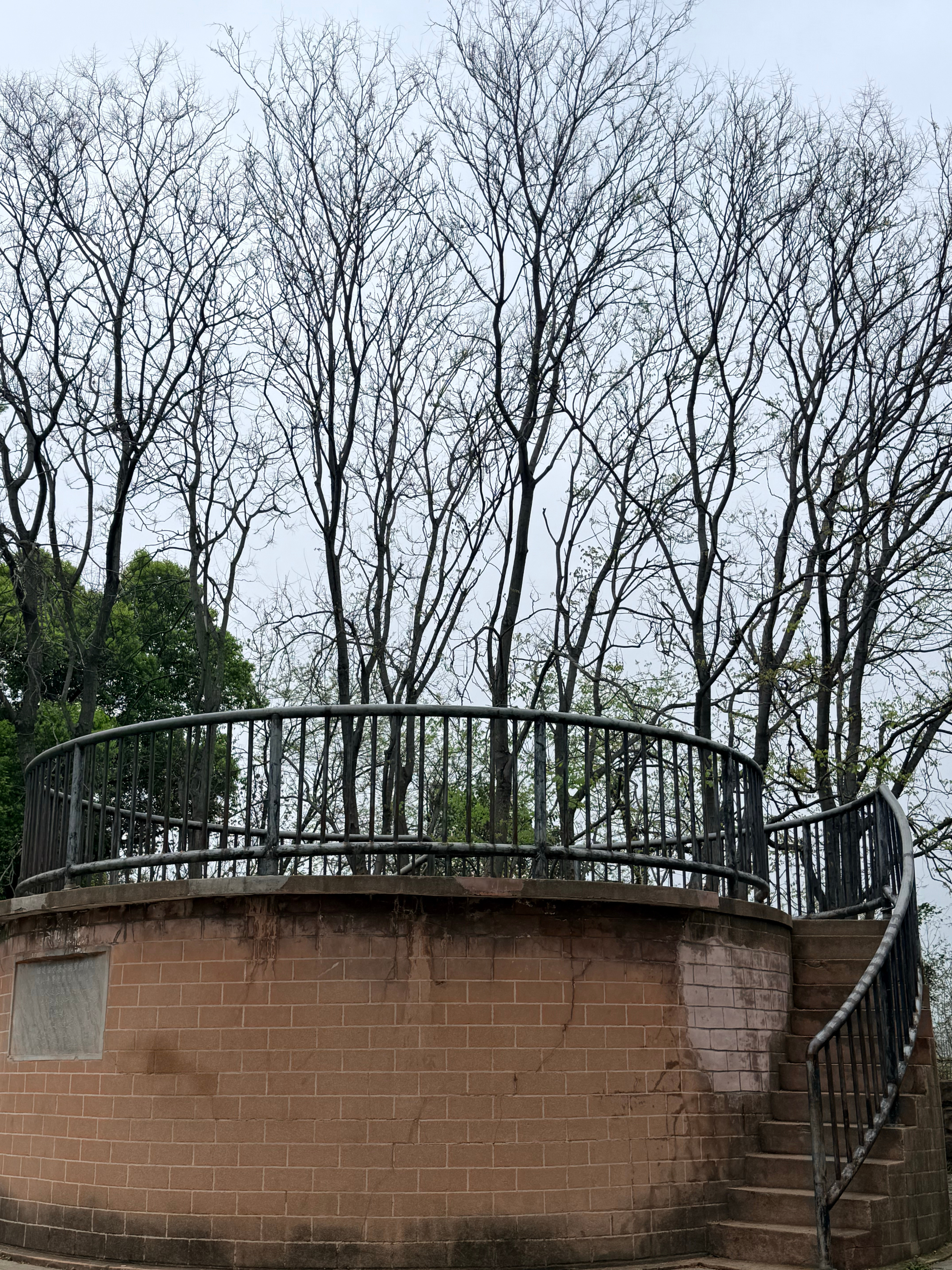 来爬了一个小山，有个意外收获～