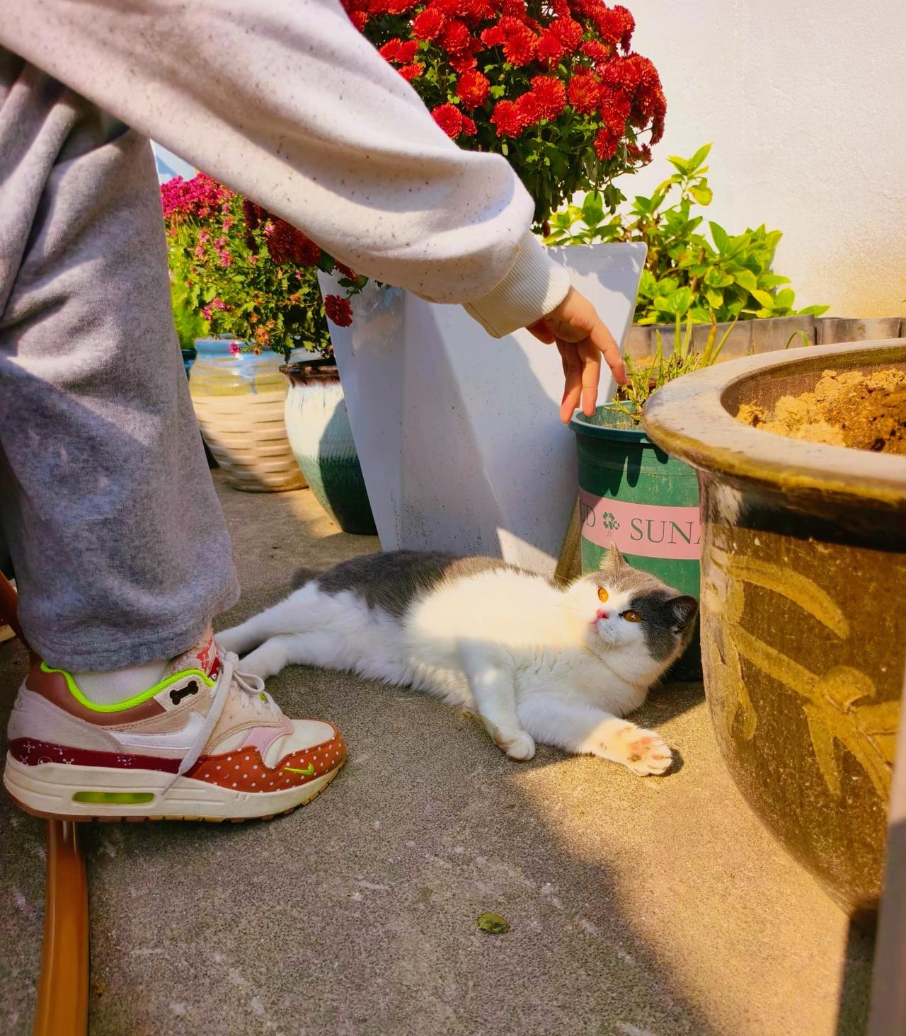 刘震云：）世上的人遍地都是，说得着的人千里难寻”在，女人如果没有男人，白天干