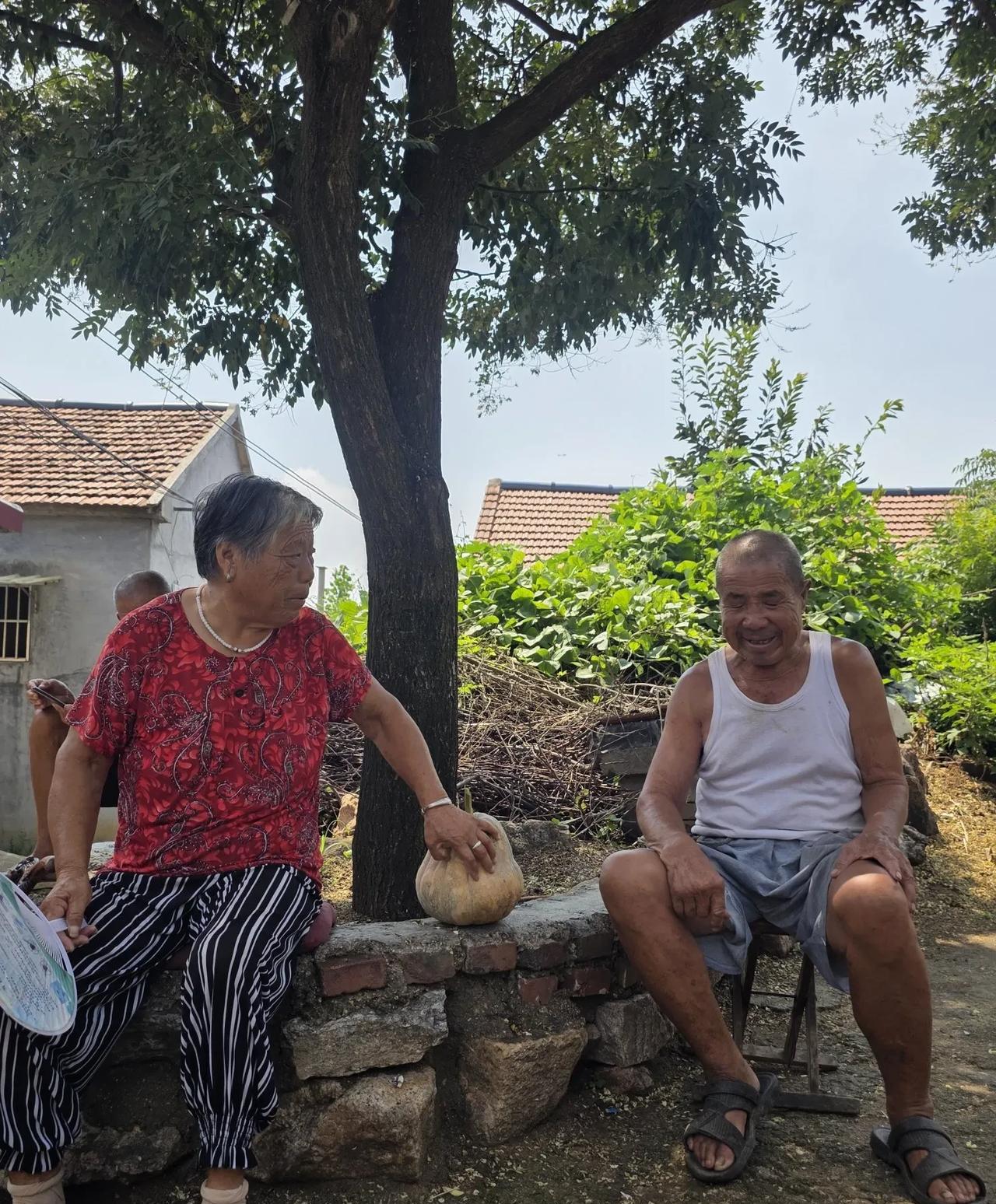 我实在想不明白，极个别城里人的自豪是哪里来的………近期生活在村里，每天发些关于