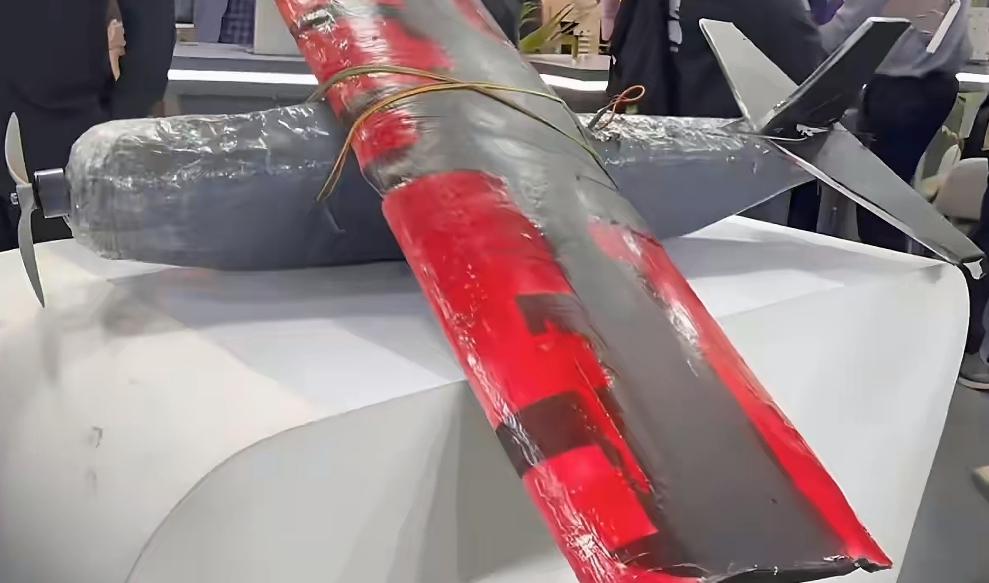 印度举行的这次AI峰会，难道是为了让自己出丑？花了那么多钱，买了宇树科技的机