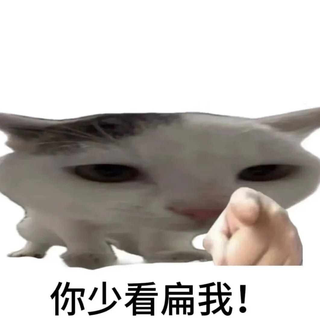 表情包：你少看扁我！