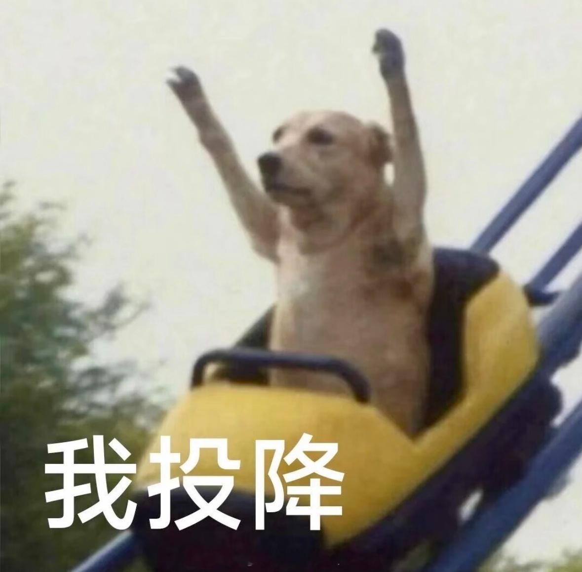 amazing刚想偷偷看两眼发现进都进不去…到底是谁在删帖啊，快点搞完好不好