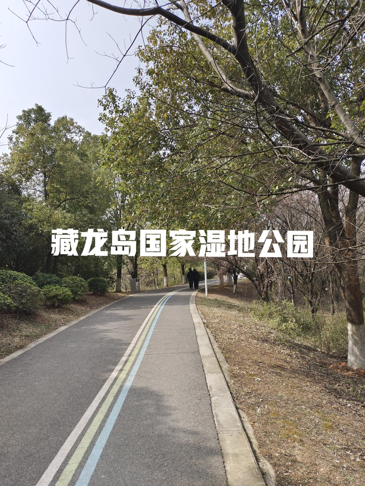 难得周六上午不上课，出来踏青了，到了藏龙岛国家湿地公园，公园很大，环境不错。晒一