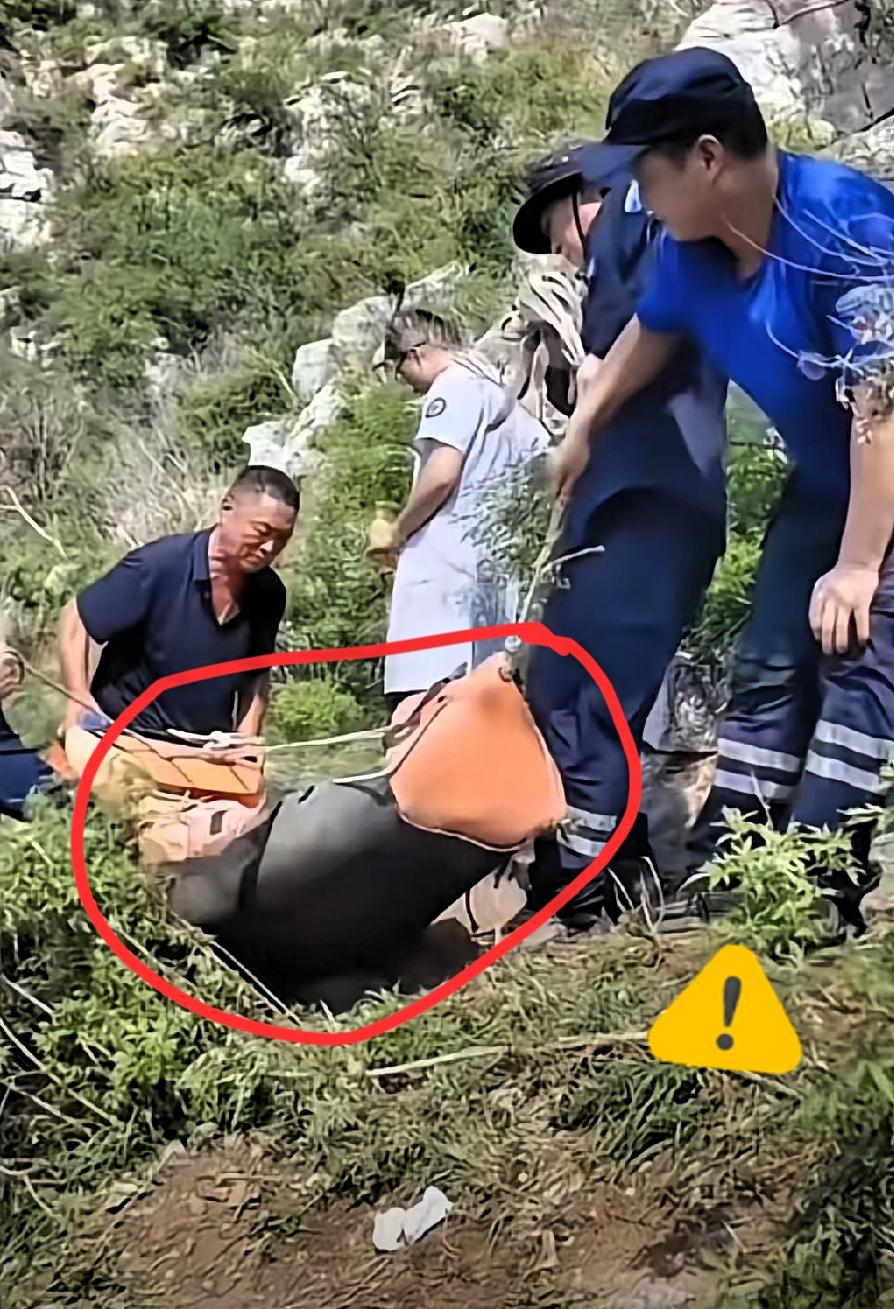 终于明白！为什么90斤的姑娘，几个壮汉愣是抬不动，原来不是力气的问题，是那地
