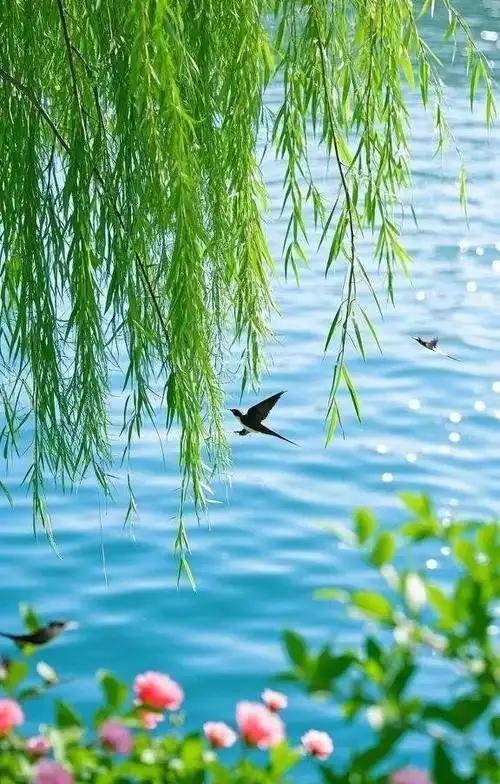 下联：岸边看柳清风相随。