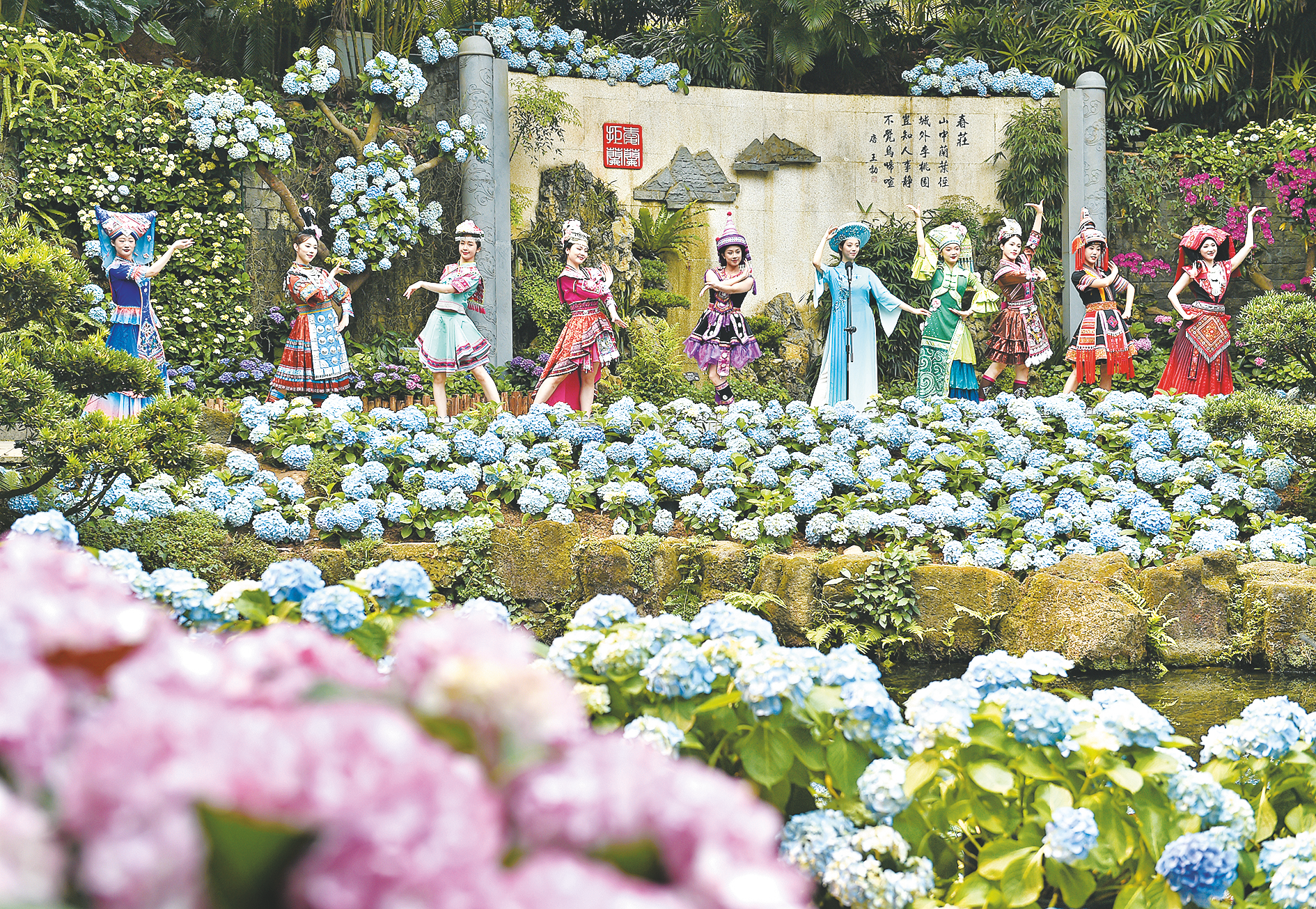 花开满园浪漫 邂逅美好春日