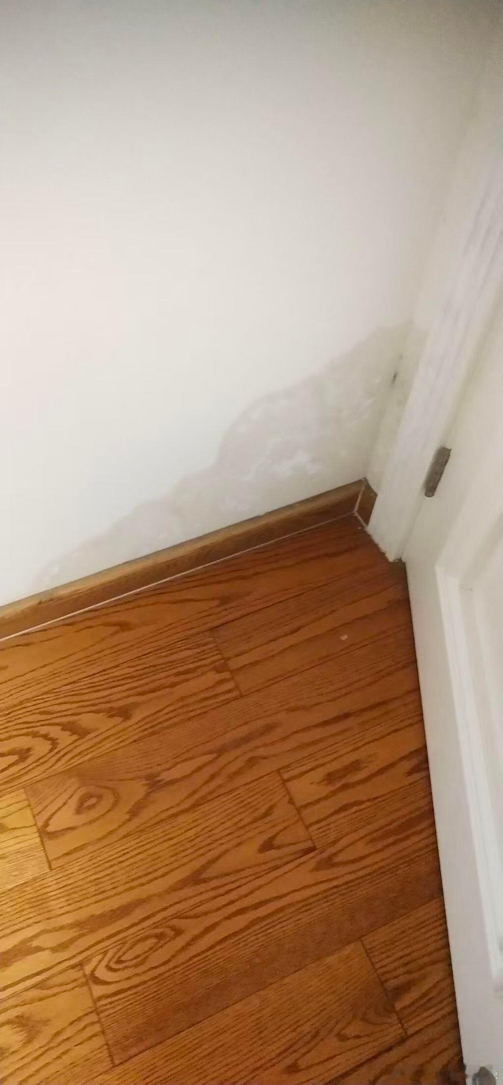 房东要求我赔偿一万元，理由是租房角落发霉。