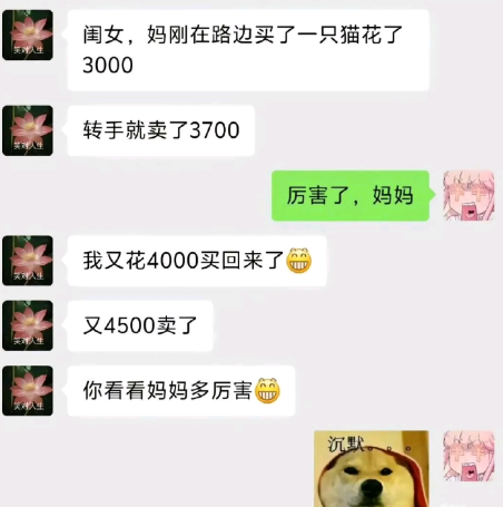 你看看妈妈多厉害