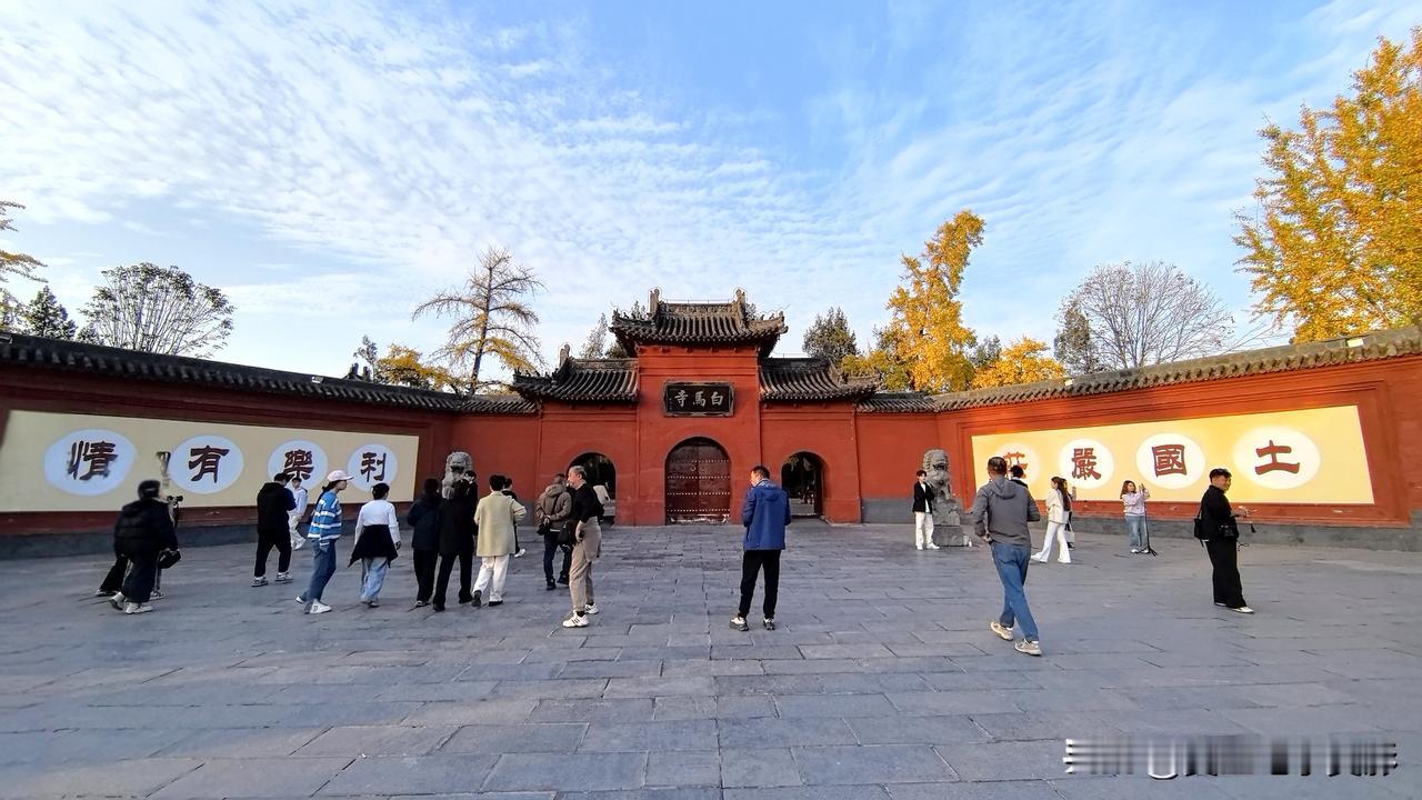 洛阳白马寺银杏天花板🍂洛阳白马寺的银杏黄叶真是冬秋限定的浪漫！现在去正好，