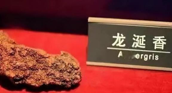 古人说的“春药”到底是什么？其实很多你身边就有。春药因名字的特殊性，所以一看