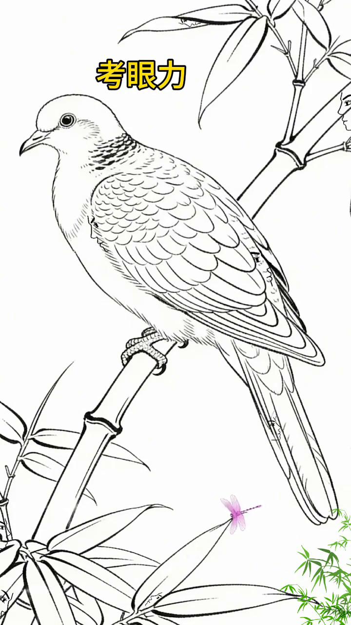 考眼力，看图找人脸。眼力测试，提升专注力。请仔细看图，图中隐藏有多张人脸，你能