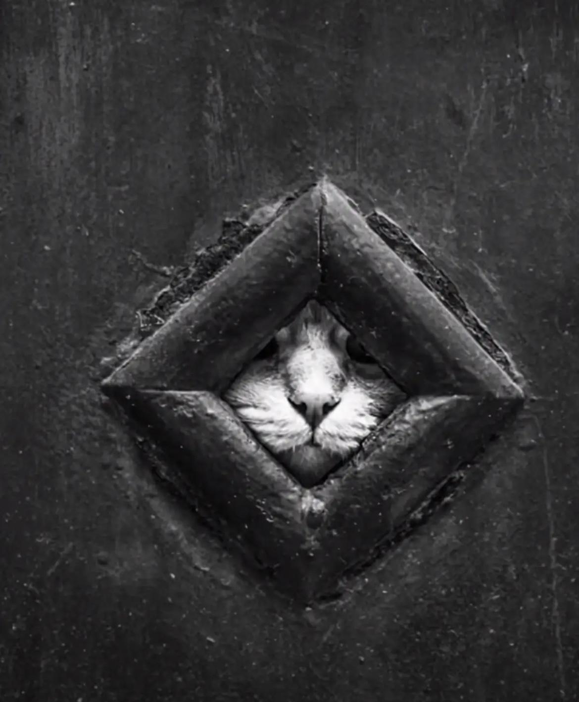 清廷腐败，岂止是贪官之过？制度之恶才是万恶之源！别再骂清廷贪官无良了，真正害死这