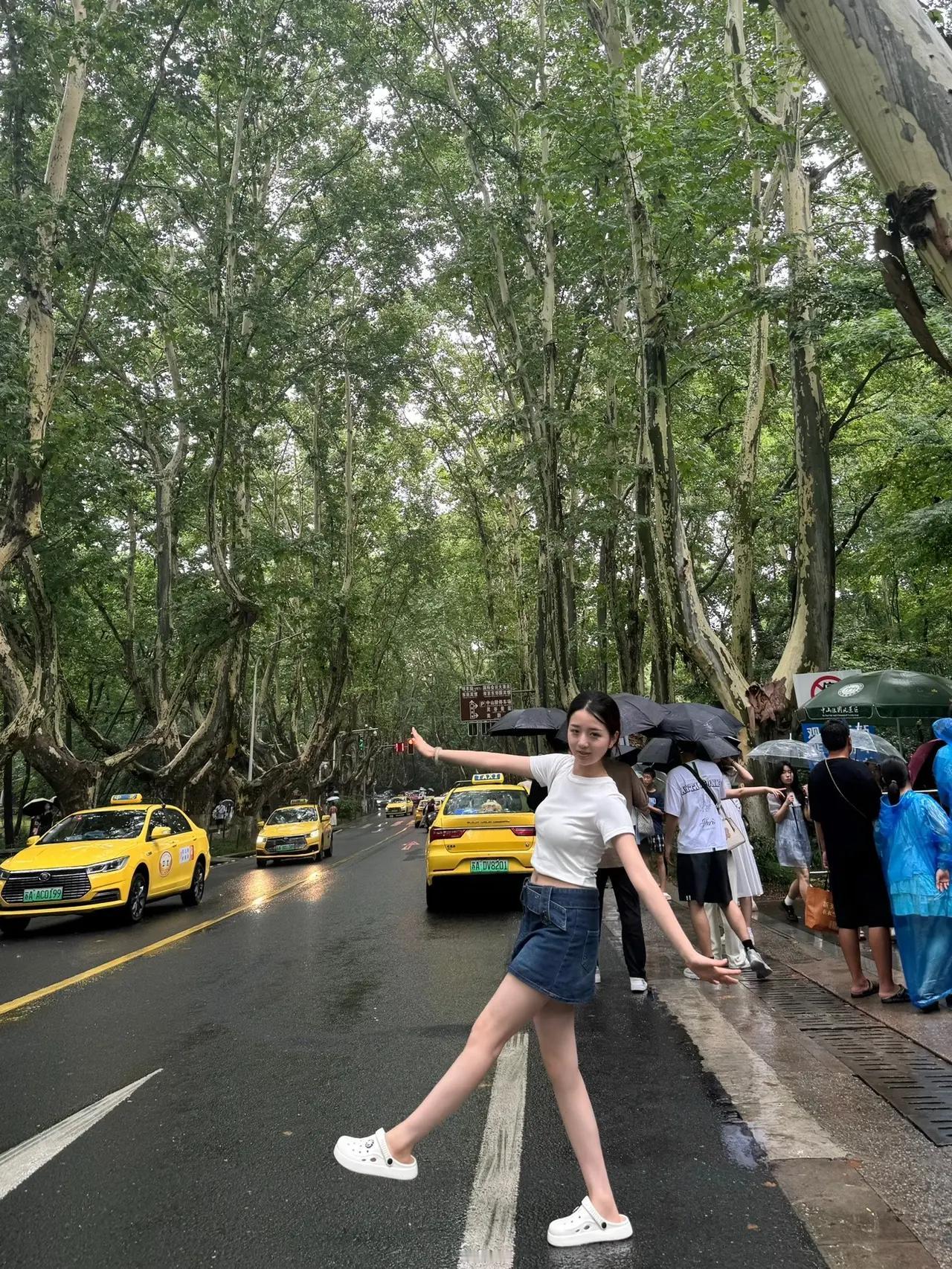 雨中漫步在绿树成荫的街道，感受城市的浪漫与宁静。