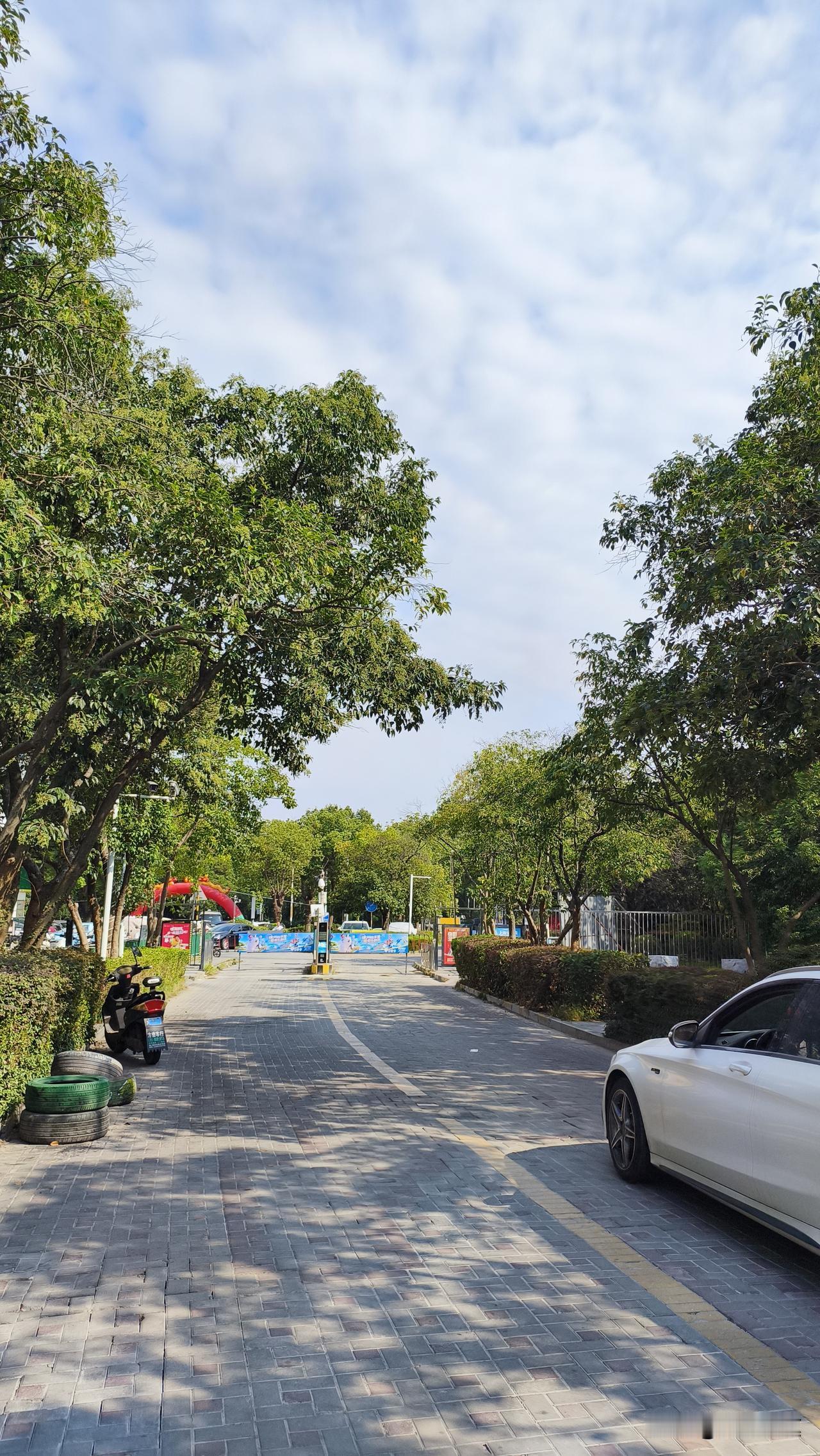 南京这天气真的是把“秋老虎”的后劲玩明白了，都入秋打卡的时节了，走在大街上太阳晒