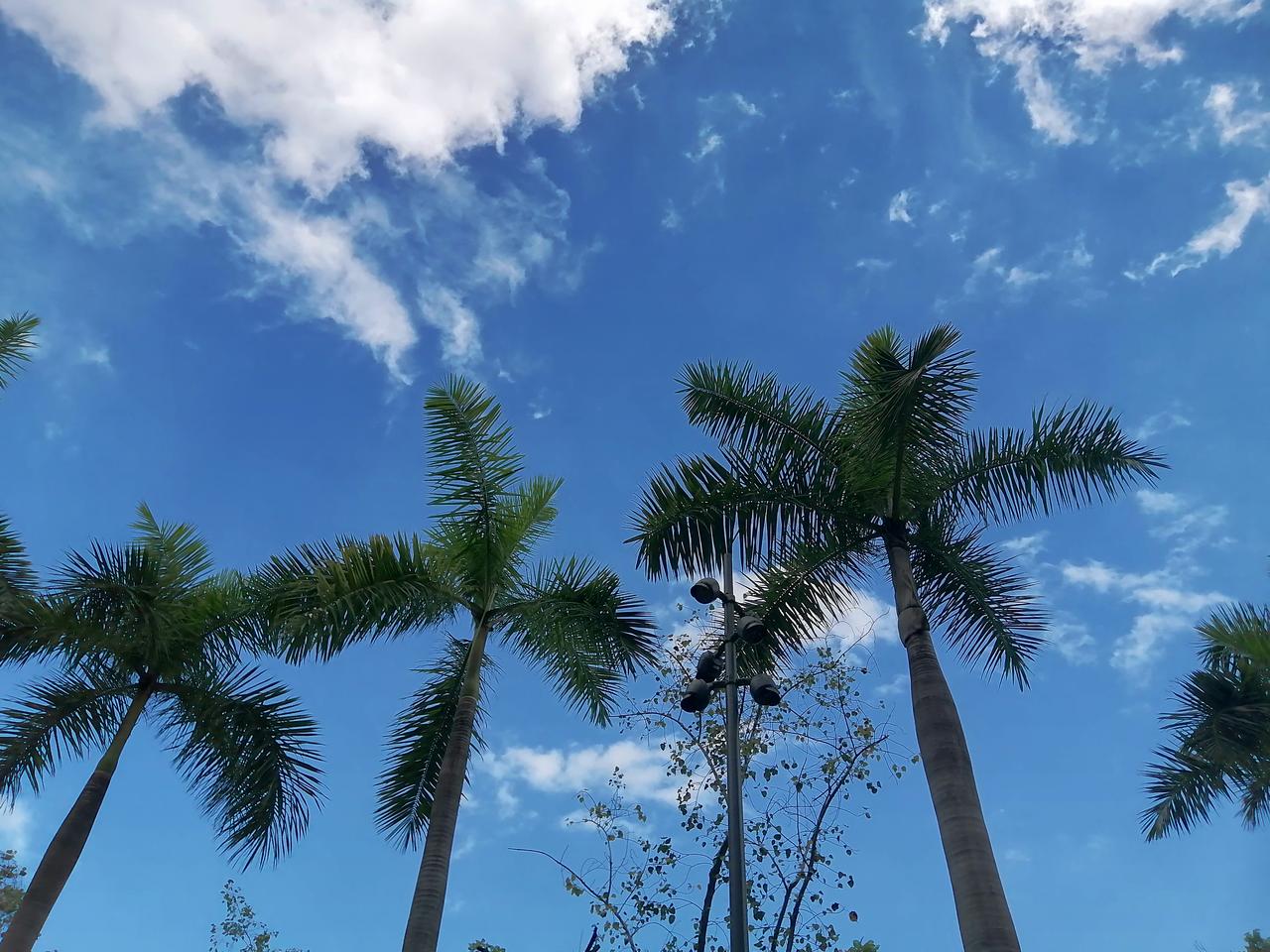 和亲家相处的8个原则1.没大事别联系不管和亲家离的近不近，平时就各