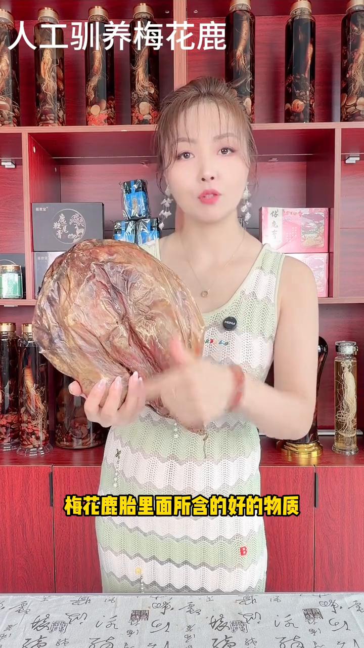 人工驯养梅花鹿。为什么说一胎难求？梅花鹿胎和其他的鹿胎又有什么区别？为什么价格