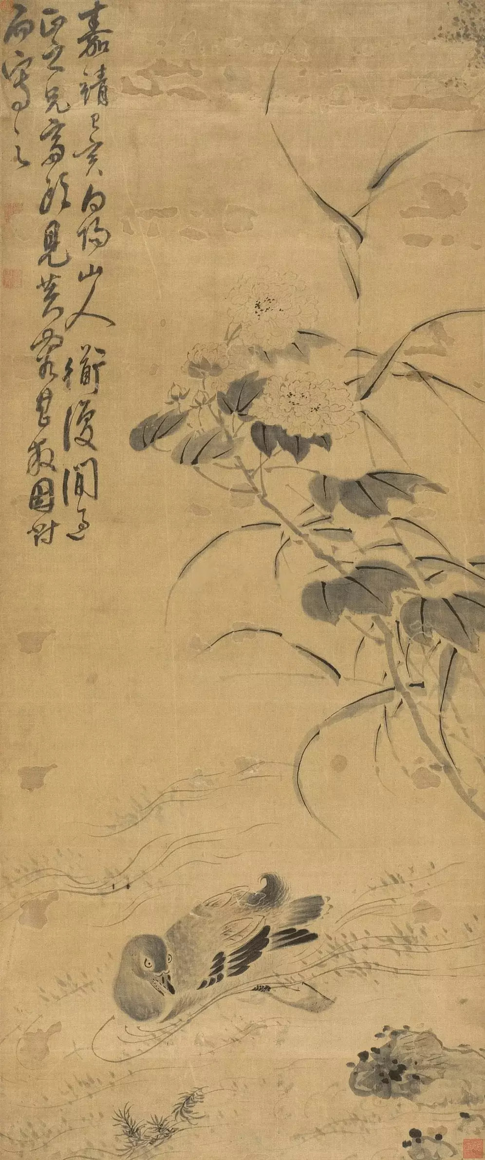 陈淳花鸟画。陈淳（1483年—1544年），字道复，后以字行，更字复甫，号白阳