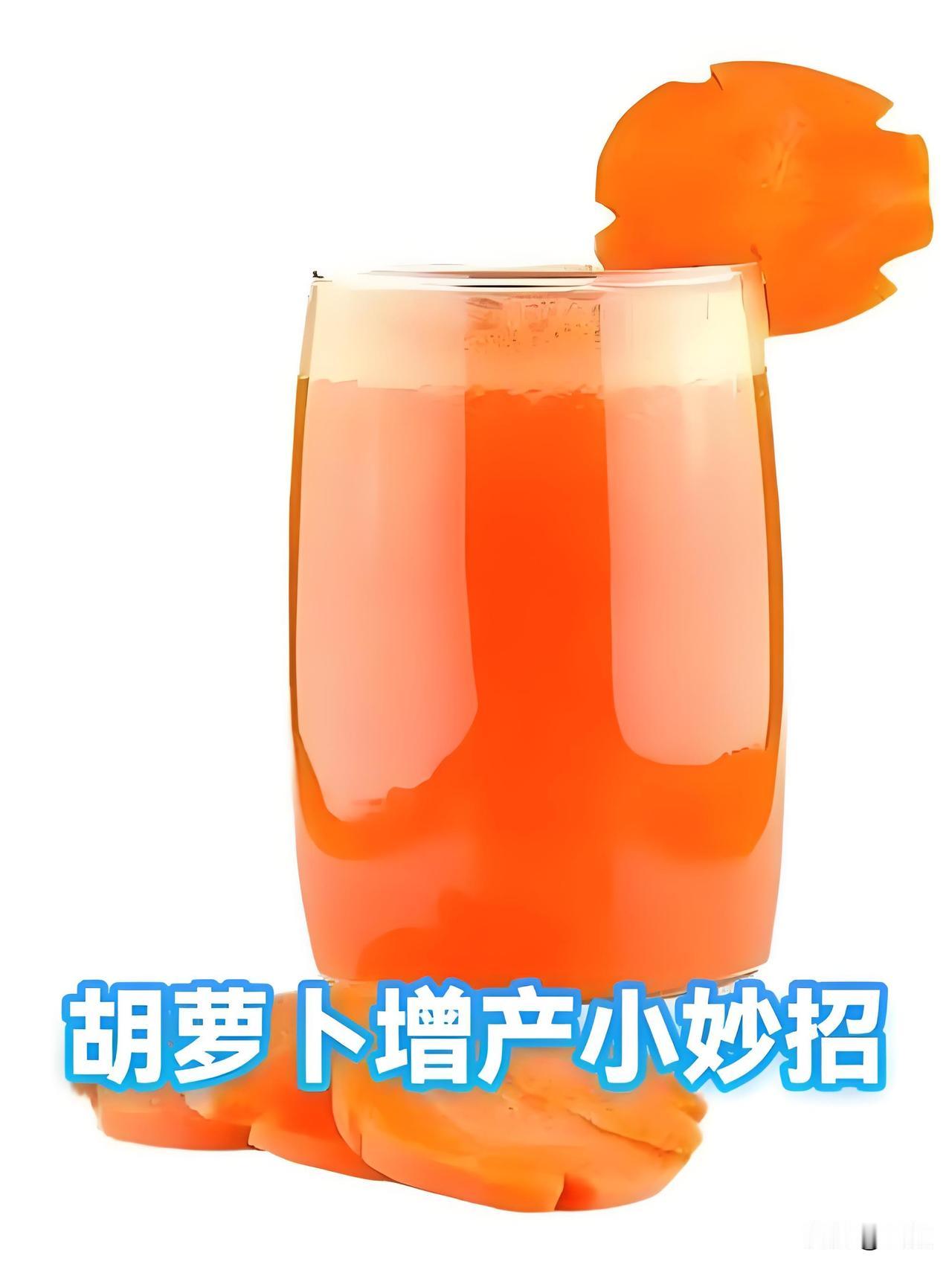 你种胡萝卜有什么增产妙招想要胡萝卜个头大、产量高，分享我菜园实操经验。出苗