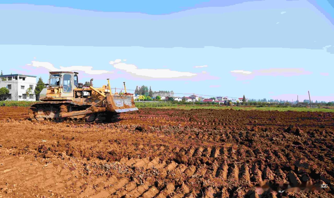 农村承包经营田今年又要开始重新分配了。听父亲说，村里分田任务要在今年3月-8月完