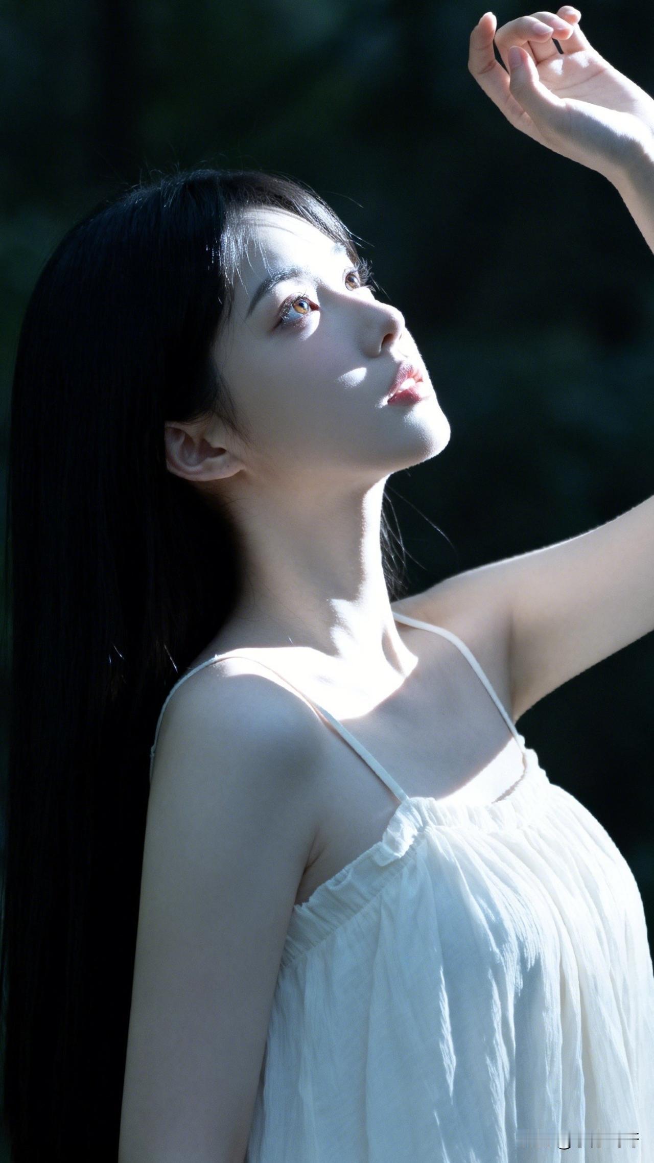 ：朝阳起，万物生，似柔情，待出行～