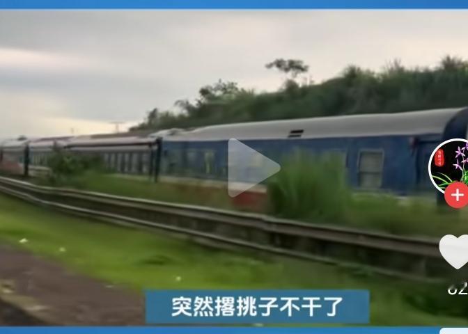 越南一条高铁折腾了这么多年，没有中国的参与，还沒个着落！国内温纳集团又宣布撤资