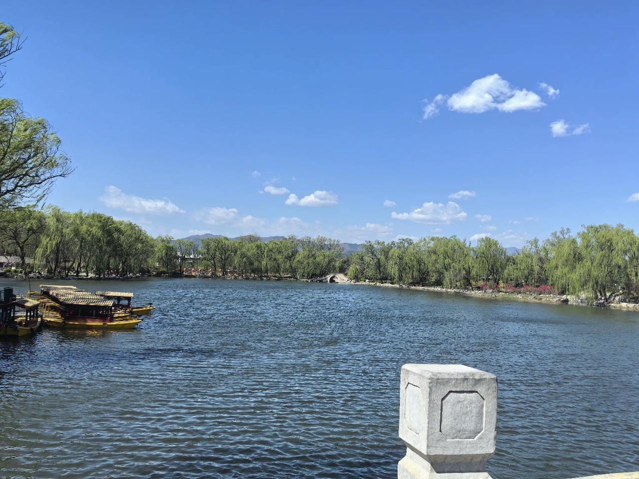 迟重瑞问：董事长，我们能要个孩子吗？陈丽华：迟先生，我有4个孩子，他们就是你的