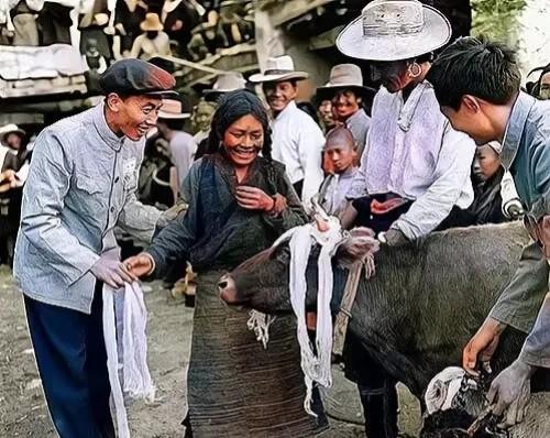 1959年，西藏堆龙德庆县南岗村，一位农奴姑娘分得了一头母牛和小牛崽，照片中可以