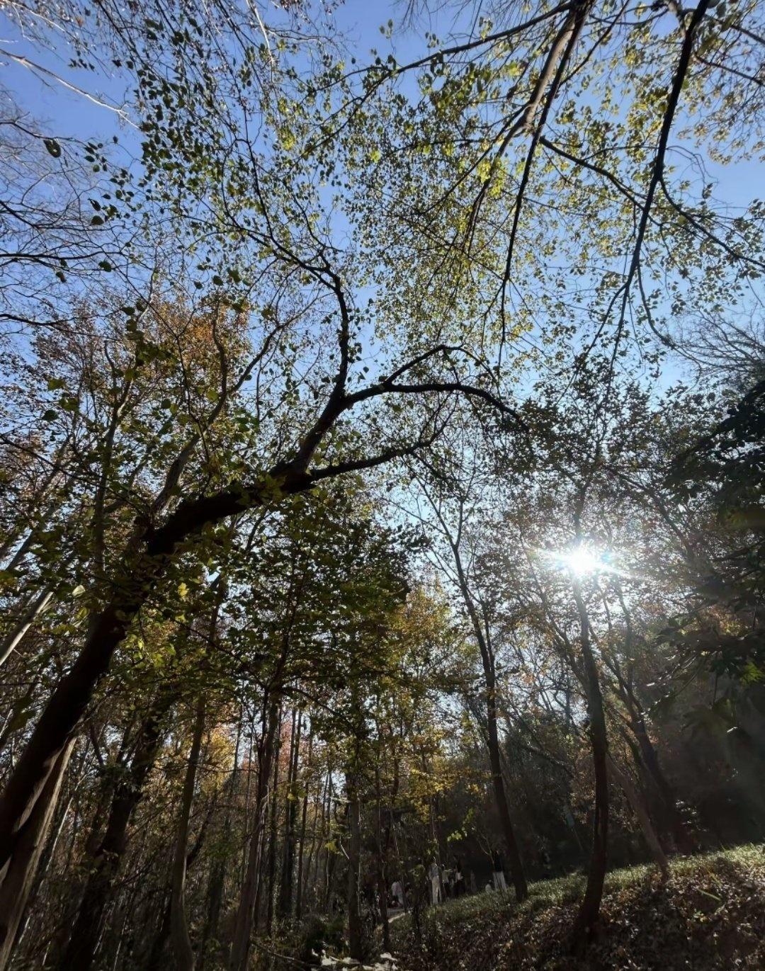 大蜀山国家森林公园📍南京🌿大蜀山国家森林公园给我带来的快乐，真是无与伦