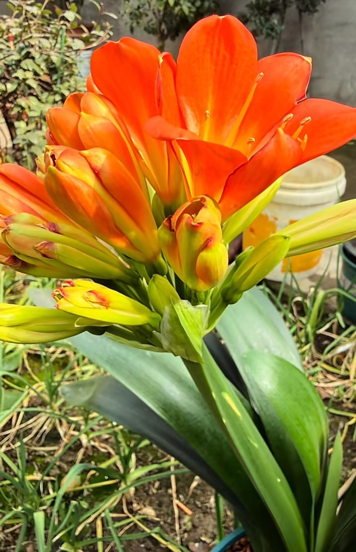 说实话，现在过年，最辛苦的其实都是老人。一大家子人回来，光准备饭菜就得累好几天。