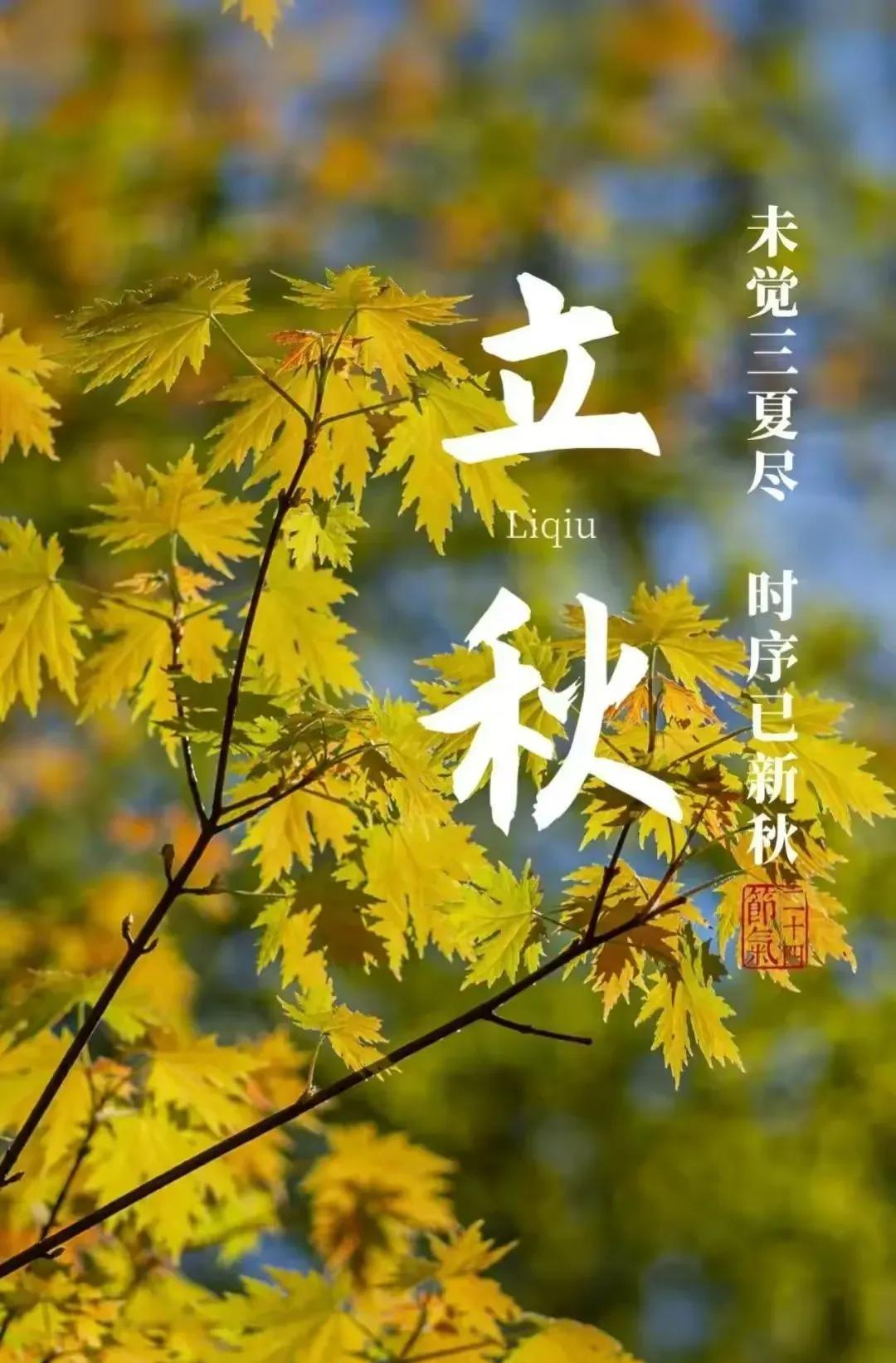 《立秋三阕》《鹧鸪天·立秋》一叶梧桐报早秋，金风初动小帘钩。三分暑气随云散