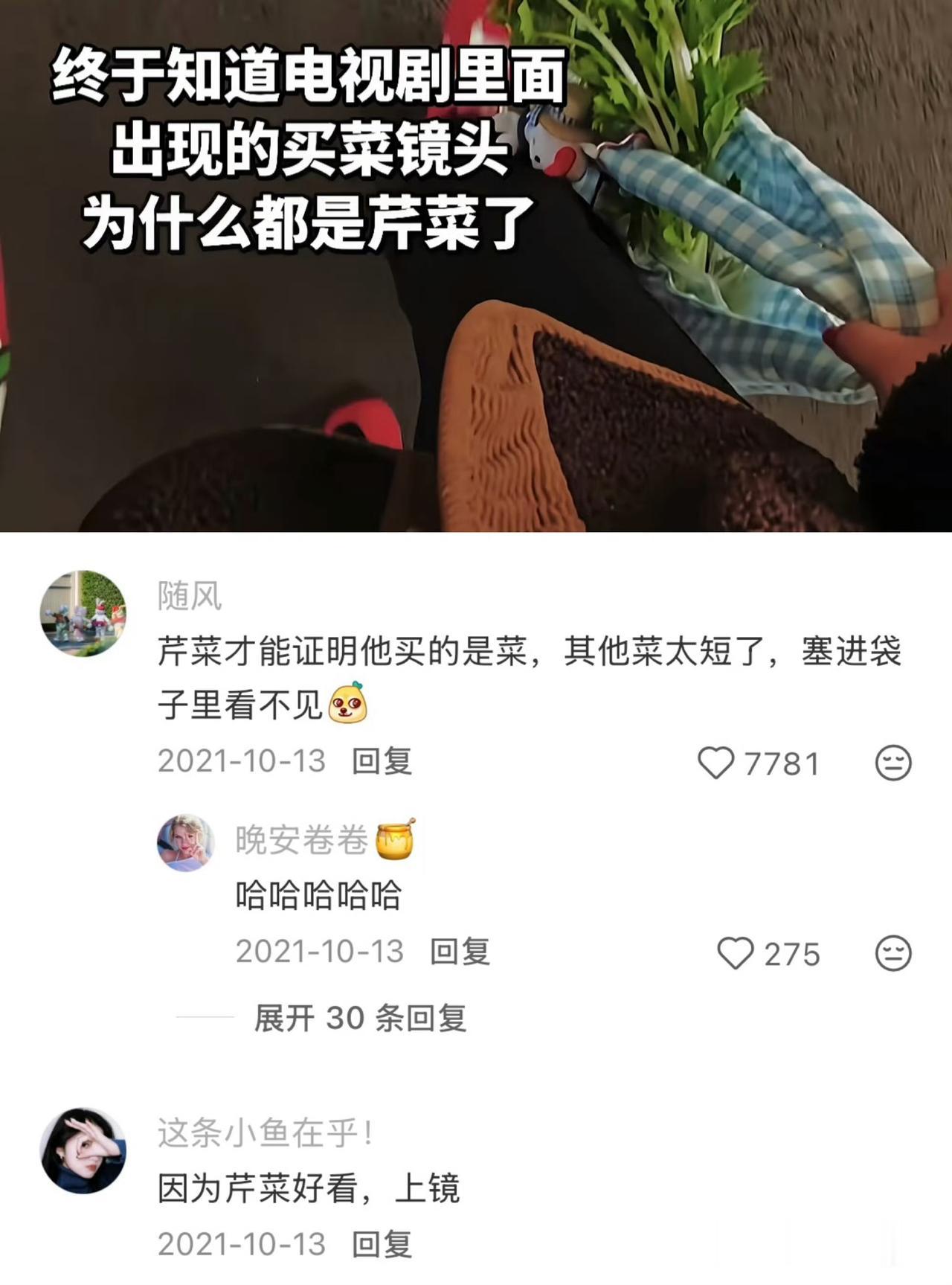 终于知道为什么电视里出现的买菜镜头都是芹菜了​​​