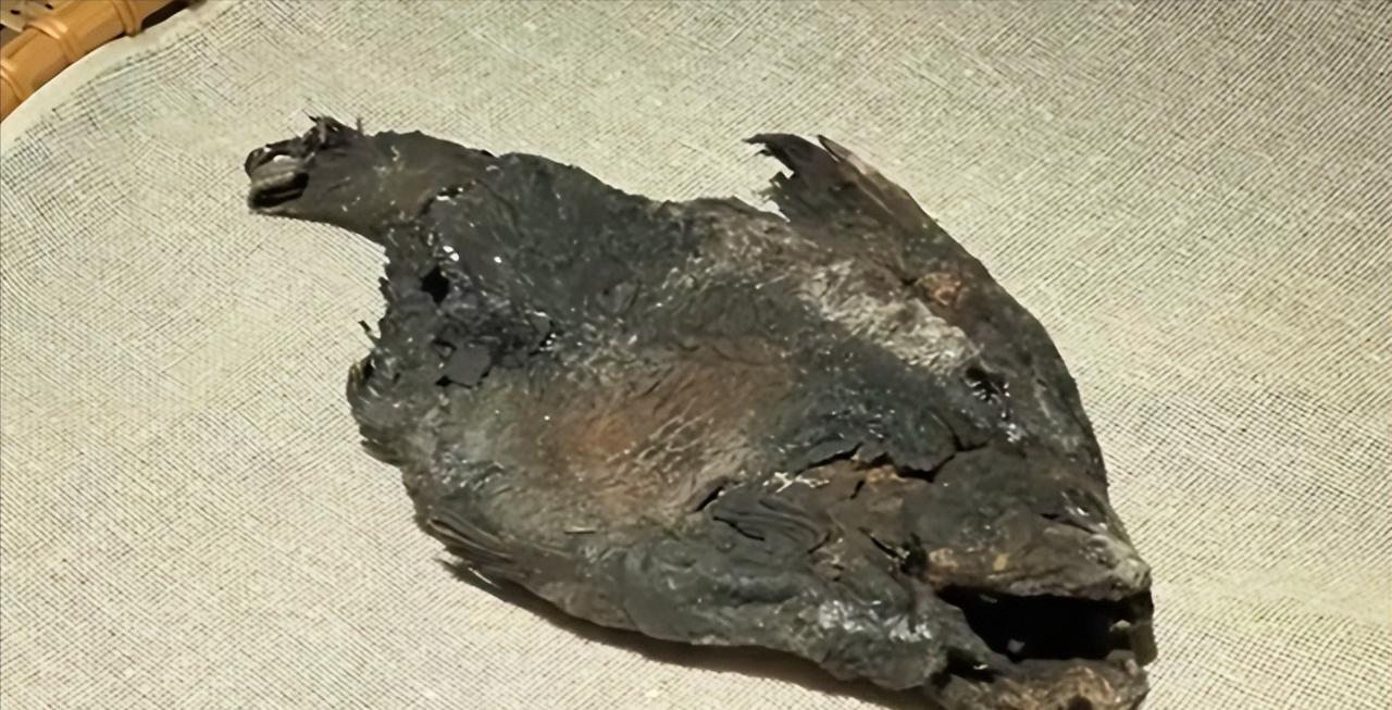 2014年，湖北荆州中学正在新建教学楼。施工时竟然挖出了一座大古墓，建筑工人老王