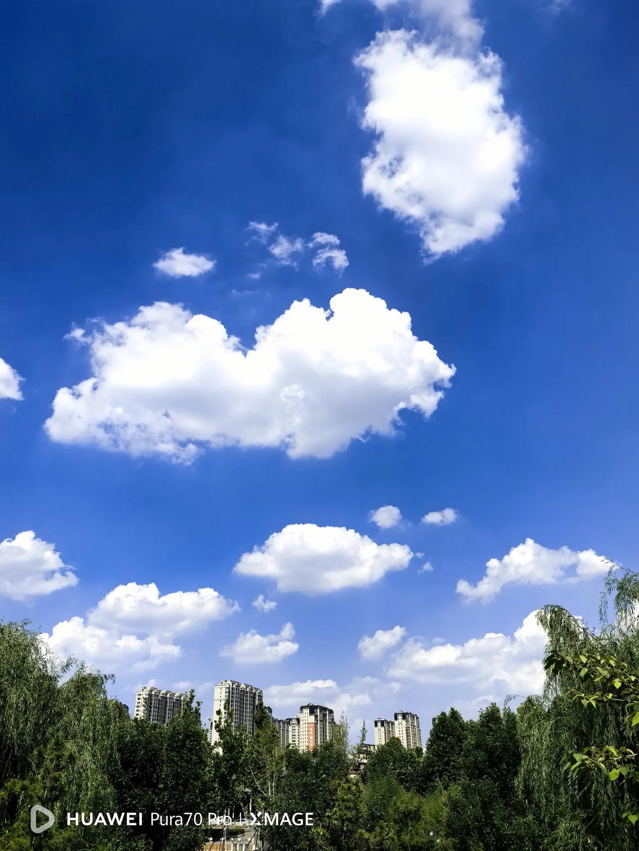 省内最新招聘信息！近日，石家庄市人力资源和社会保障局发布公告，石家庄市第一中学