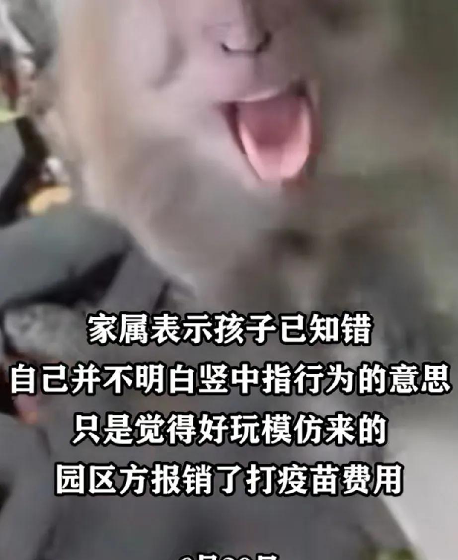 6月30日，贵州贵阳。7岁的男孩和外婆上了黔灵山游玩。这里的野生泼猴远近闻名，常