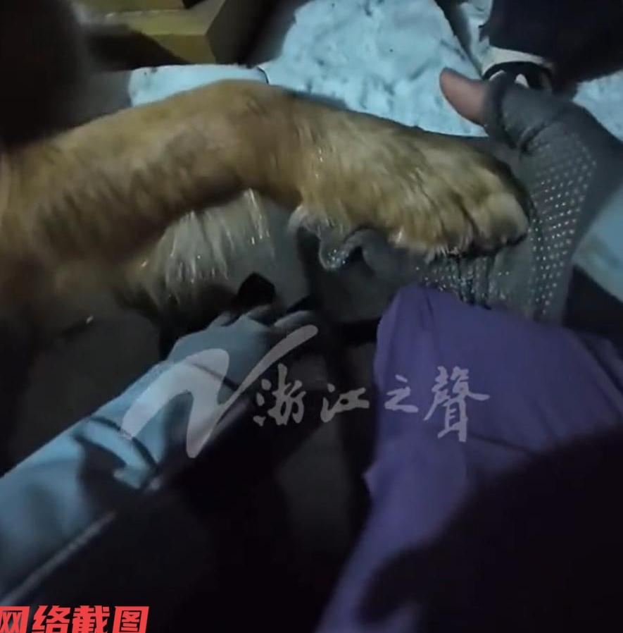 河南老君山有男子天黑了准备下山。只是男子没有想到出行的索道突然关闭，唯有选择