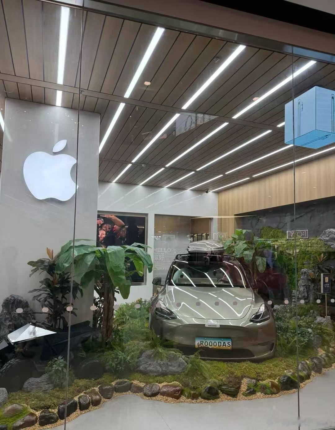 哈哈哈，艹苹果车实锤？？