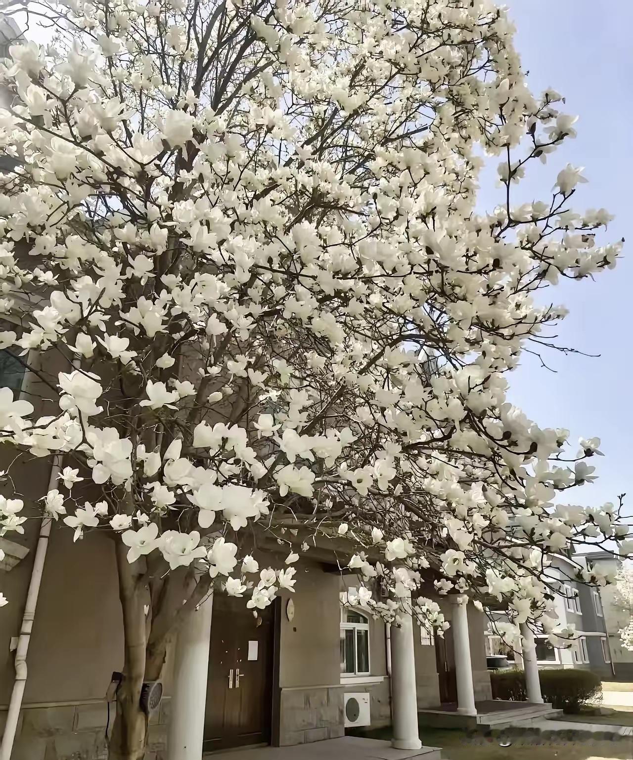 今天出门溜达，碰见了以前一个熟人的老公。好多年没见，看着他现在的样子，心里特别有