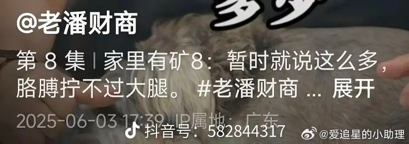 老潘财商扒虞书欣家的🍉扒到8.0，现在要暂停了，是被捂嘴了吗？​​​