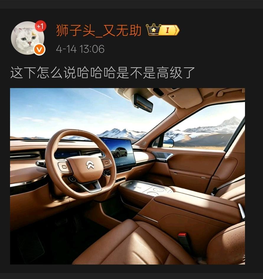 我连ES9这种，那么多大哥大姐看了，流口水要付钱的尊味豪车，都明牌说了稍微有点过