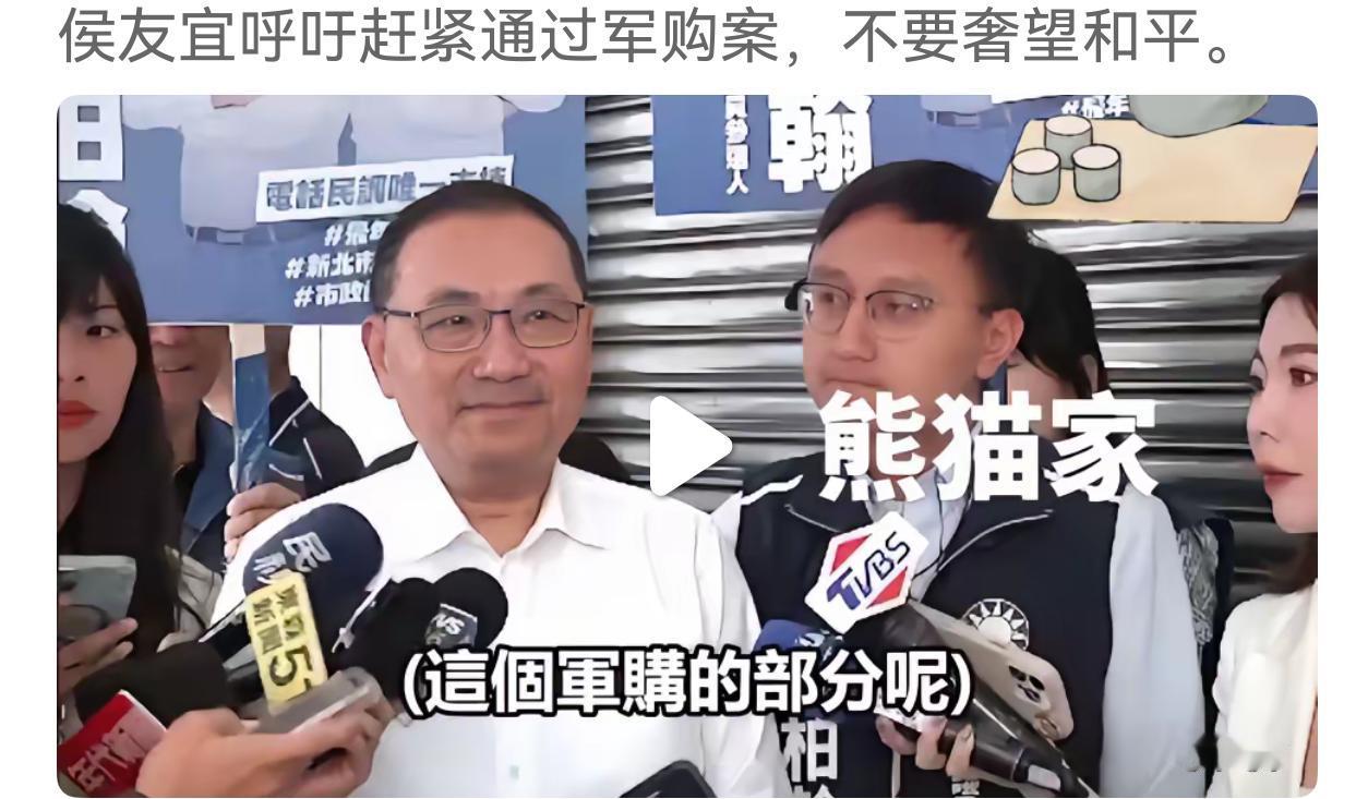 韩国瑜，侯友宜，朱立伦，郝龙斌，赵少康，卢秀燕，江启臣，这些人基本上都不是统派，