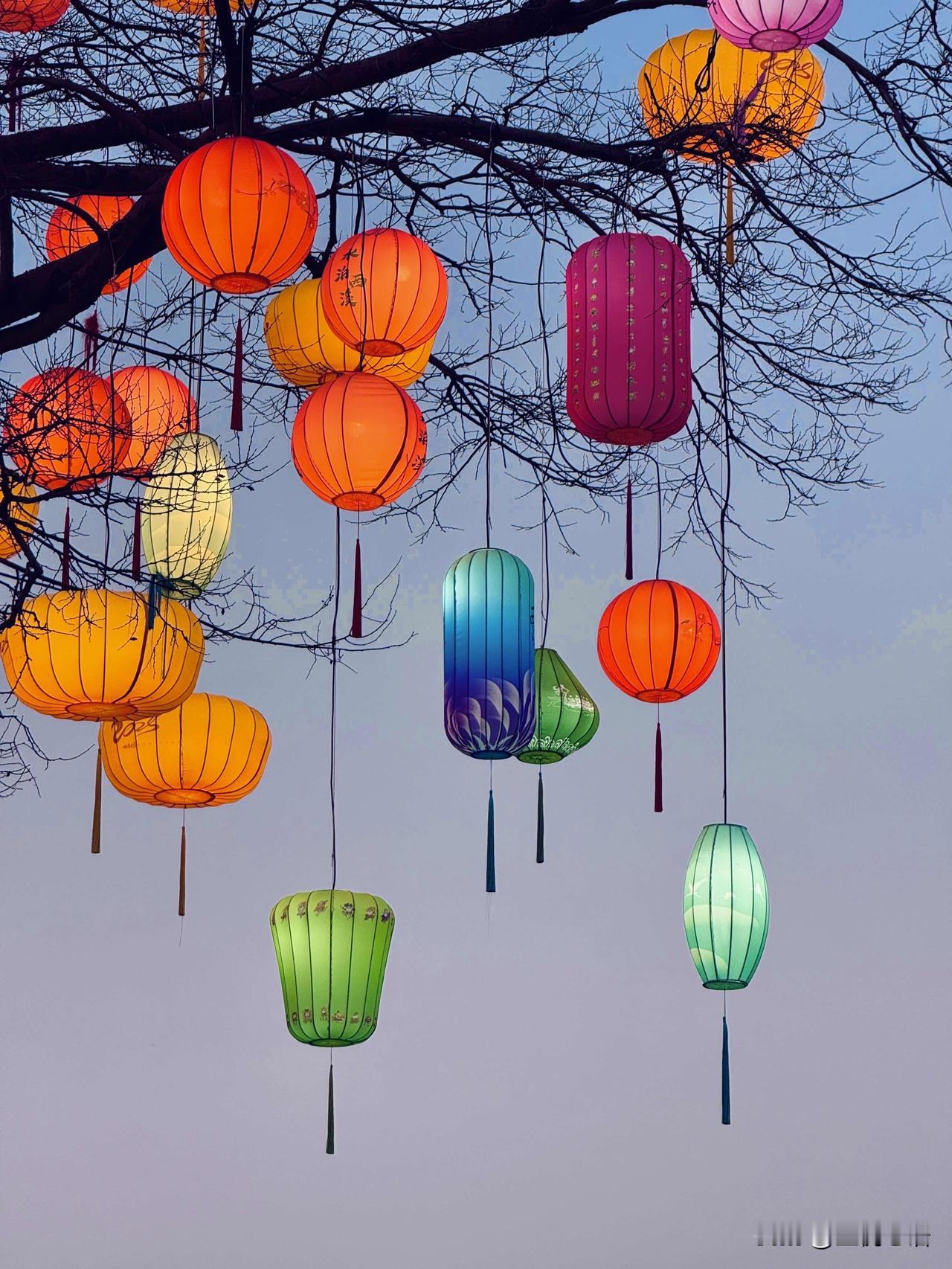 在杭州拍到了辛弃疾笔下的花灯2025最后一天，被西溪湿地的花灯迷了眼。红