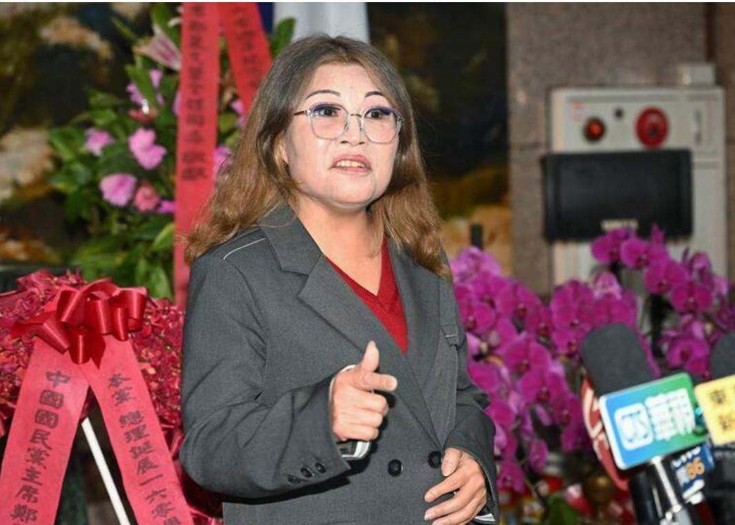 国民党组发会火速注销党籍何鹰鹭申诉案考纪会可望不处理前国民党中常委何鹰鹭去