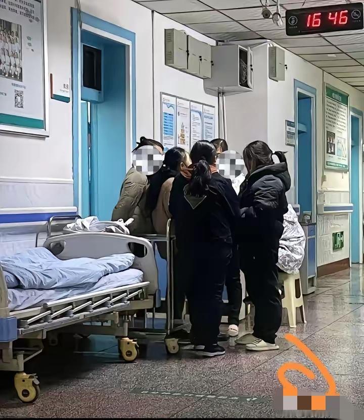 爹妈为弟弟跪地磕头，泪流满面，问没问过姐姐们的心意，可四个姐姐却沉默不语，没上前