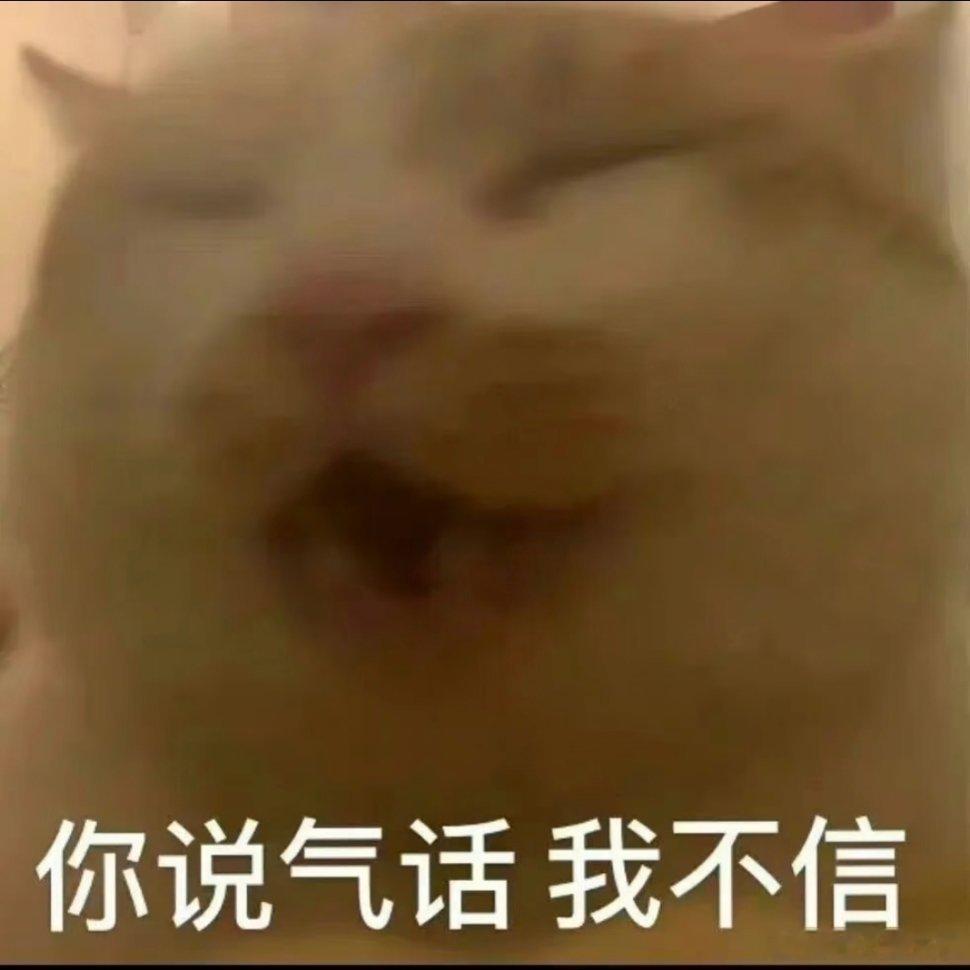 小咪表情包请收好~